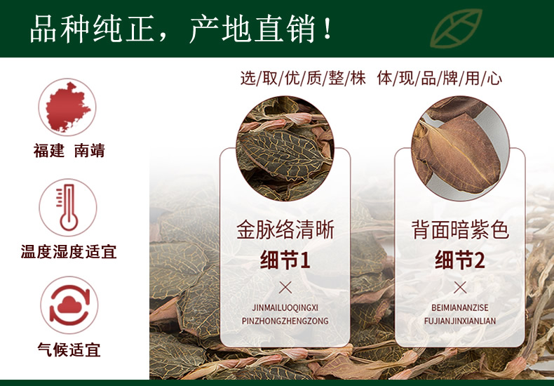 品種純正，產地直銷！