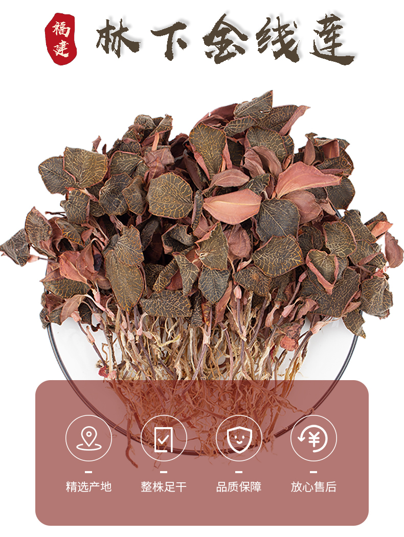 正宗林下<a href=http://www.08niu.cn/ target='_blank'>金線蓮</a>干品
