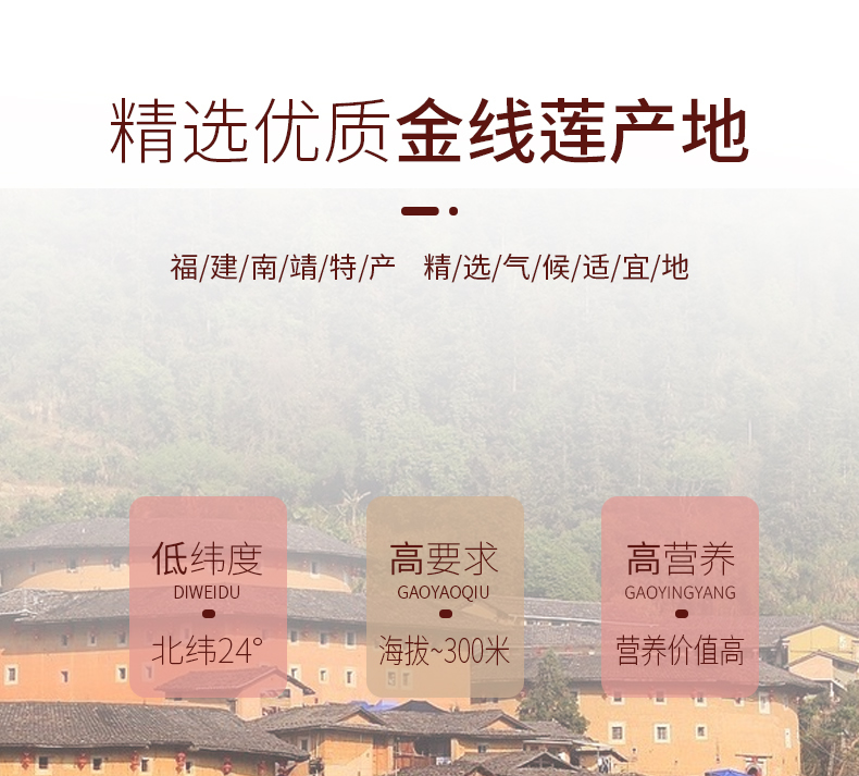 正宗林下<a href=http://www.08niu.cn/ target='_blank'>金線蓮</a>干品