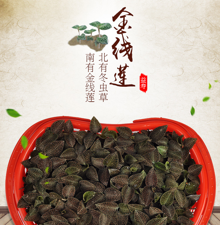 <a href=http://www.08niu.cn/ target='_blank'>金線蓮</a>鮮品 籃裝